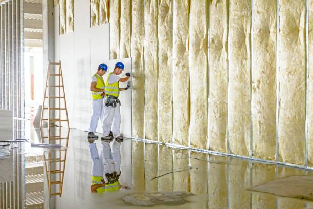 Best Insulation Installation Services in Farmersville, OH